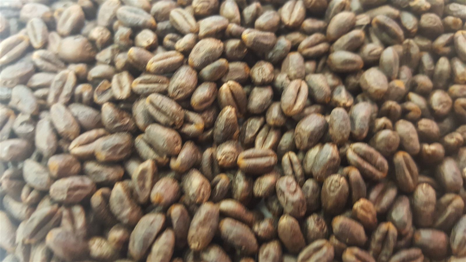Gladfield Roasted Wheat - All Things Fermented | Home Brew Supplies Shop Wellington Kapiti NZ