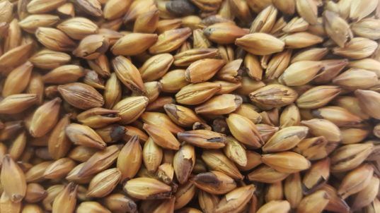 Gladfield Shepherds Delight Malt - All Things Fermented | Home Brew Supplies Shop Wellington Kapiti NZ