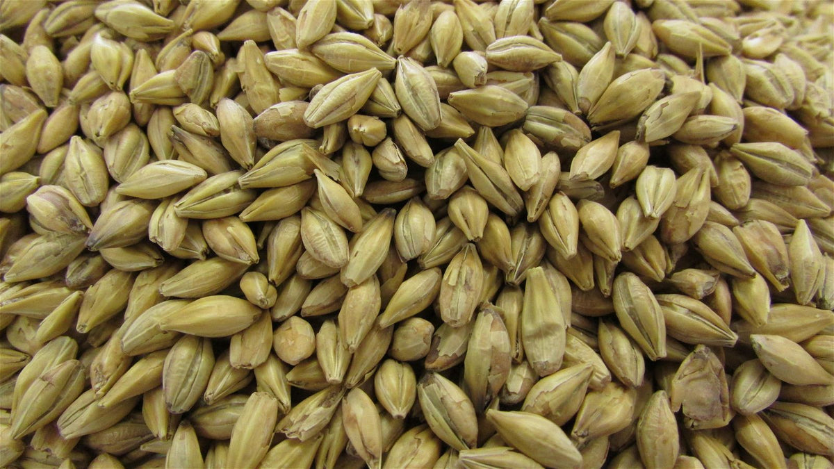 Gladfield Sour Grapes Malt - All Things Fermented | Home Brew Supplies Shop Wellington Kapiti NZ