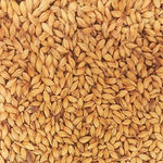 Gladfield Supernova Malt - All Things Fermented | Home Brew Supplies Shop Wellington Kapiti NZ