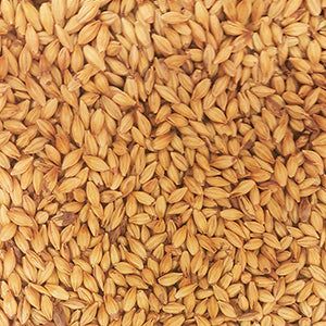 Gladfield Supernova Malt - All Things Fermented | Home Brew Supplies Shop Wellington Kapiti NZ