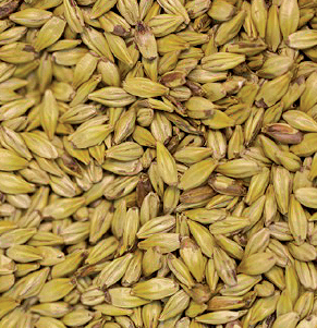 Gladfield Toffee Malt - All Things Fermented | Home Brew Supplies Shop Wellington Kapiti NZ