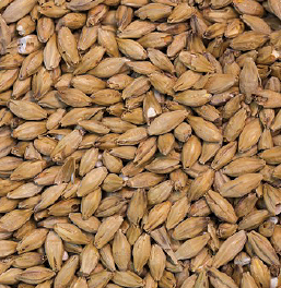 Gladfield Vienna Malt - 25kg Sack Unmilled - All Things Fermented | Home Brew Supplies Shop Wellington Kapiti NZ