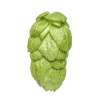Green Bullet Hops 2024 Harvest - T90 Pellets 100gm - All Things Fermented | Home Brew Supplies Shop Wellington Kapiti NZ
