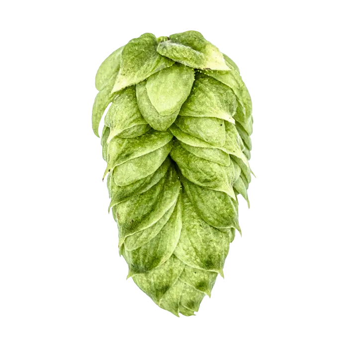 Talus Hops - T90 Pellets 100g