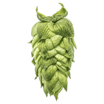 Idaho 7 Hops - T90 Pellets 100g - All Things Fermented | Home Brew Supplies Shop Wellington Kapiti NZ