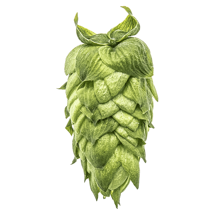 Idaho 7 Hops - T90 Pellets 100g - All Things Fermented | Home Brew Supplies Shop Wellington Kapiti NZ