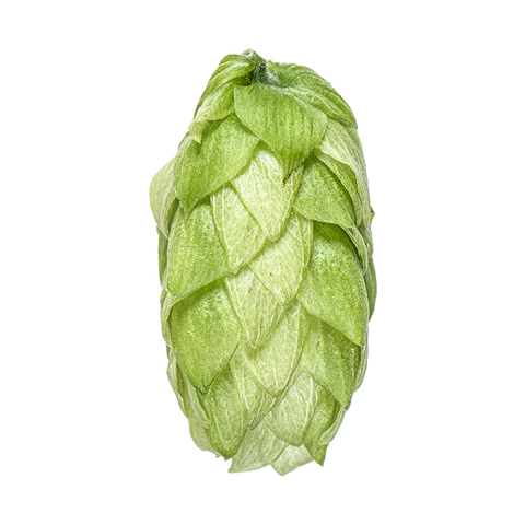 Kohatu Hops 2025 Harvest - T90 Pellets 100gm