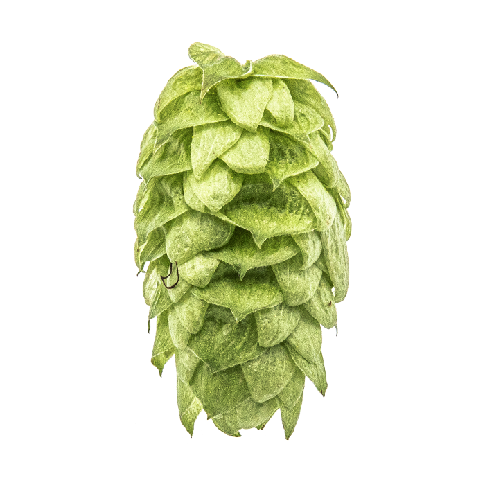 Falconers Flight ® Hops - T90 Pellets 100g