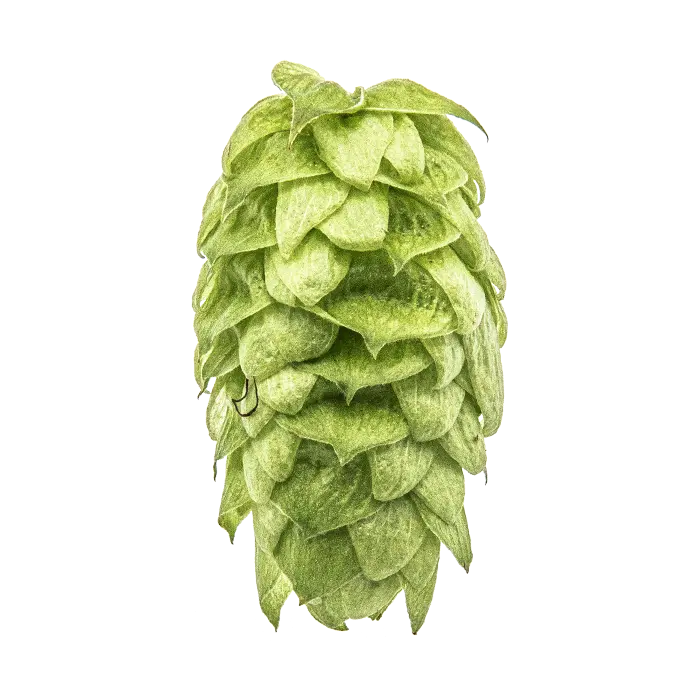 Mosaic Cryo Hops - 50g