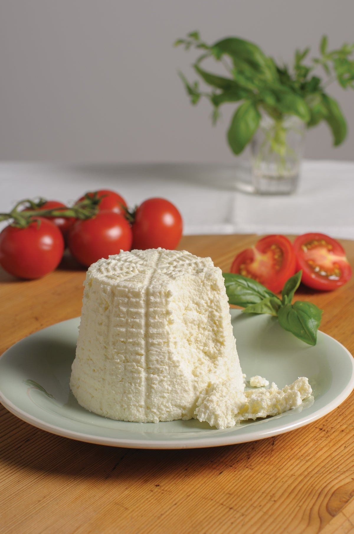 Mad Millie Artisan Cheese Kit - All Things Fermented | Home Brew Supplies Shop Wellington Kapiti NZ