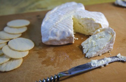 Mad Millie Fresh Cheese Kit - All Things Fermented | Home Brew Supplies Shop Wellington Kapiti NZ