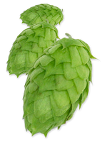 Mosaic Cryo Hops - 50g - All Things Fermented | Home Brew Supplies Shop Wellington Kapiti NZ