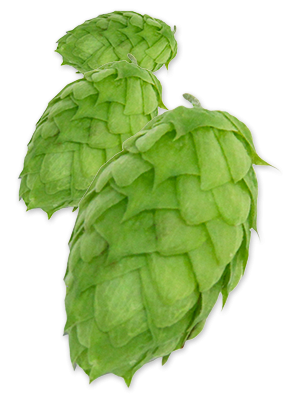 Mosaic Hops - 100g - All Things Fermented | Home Brew Supplies Shop Wellington Kapiti NZ