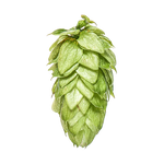 Motueka Hops 2024 Harvest - T90 Pellets 100gm - All Things Fermented | Home Brew Supplies Shop Wellington Kapiti NZ