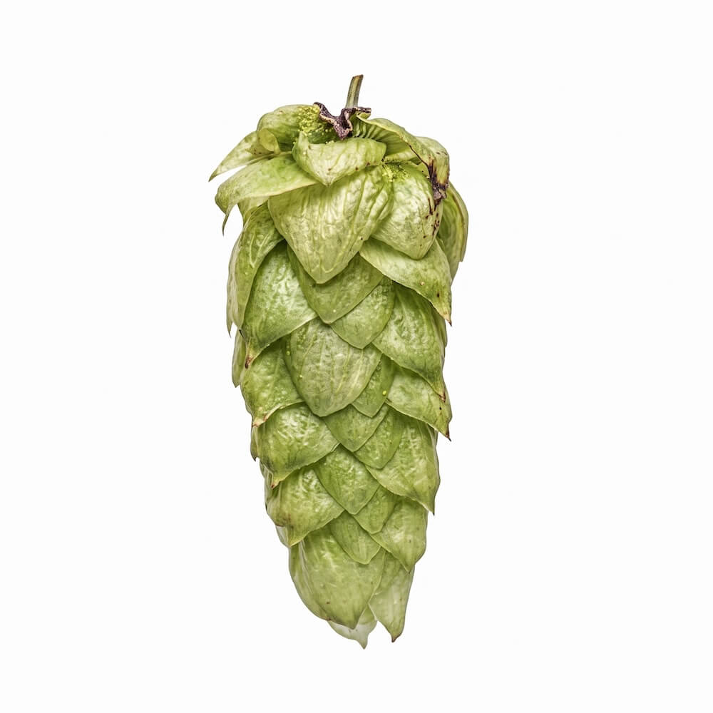 Moutere Hops 2025 Harvest - T90 Pellets 100gm