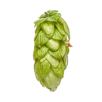 NZ Southern Cross Hops 2023 Harvest - T90 Pellets 100gm - All Things Fermented | Home Brew Supplies Shop Wellington Kapiti NZ