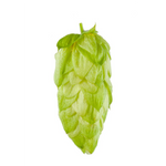 Nectaron Hops 2024 Harvest - T90 Pellets 100gm - All Things Fermented | Home Brew Supplies Shop Wellington Kapiti NZ