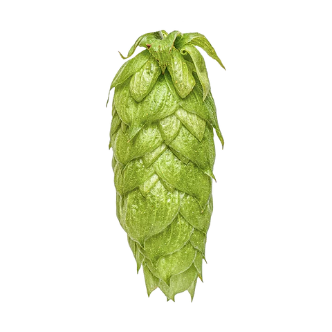 Nelson Sauvin Hops 2024 Harvest - T90 Pellets 100gm - All Things Fermented | Home Brew Supplies Shop Wellington Kapiti NZ