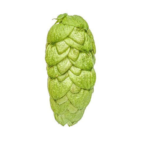 NZ Pacific Jade Hops 2024 Harvest - T90 Pellets 100gm