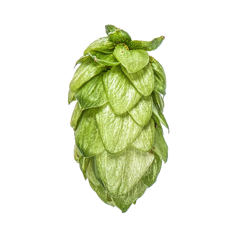 Pacifica Hops 2024 Harvest - T90 Pellets 100gm
