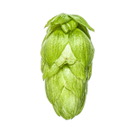 Rakau Hops 2024 Harvest- T90 Pellets 100gm - All Things Fermented | Home Brew Supplies Shop Wellington Kapiti NZ