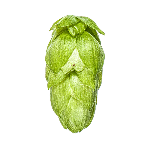 Rakau Hops 2024 Harvest- T90 Pellets 100gm - All Things Fermented | Home Brew Supplies Shop Wellington Kapiti NZ
