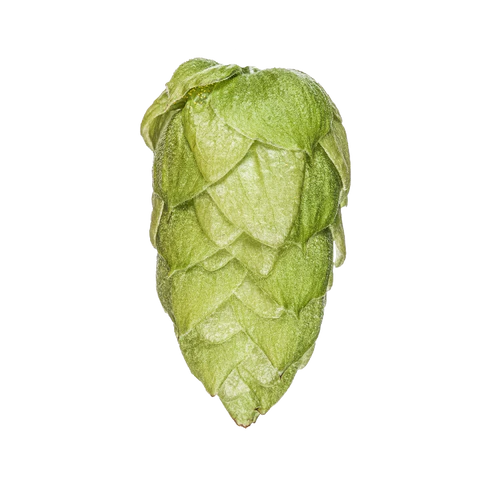 Riwaka Hops 2025 Harvest - T90 Pellets 100gm