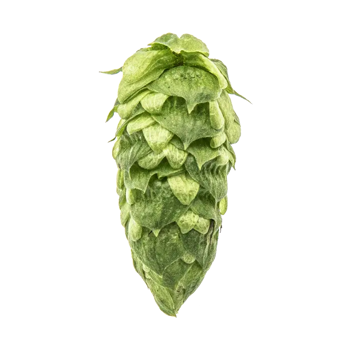 Simcoe Cryo Hops - 50g