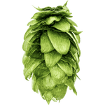 Sabro™ Hops - 100g - All Things Fermented | Home Brew Supplies Shop Wellington Kapiti NZ