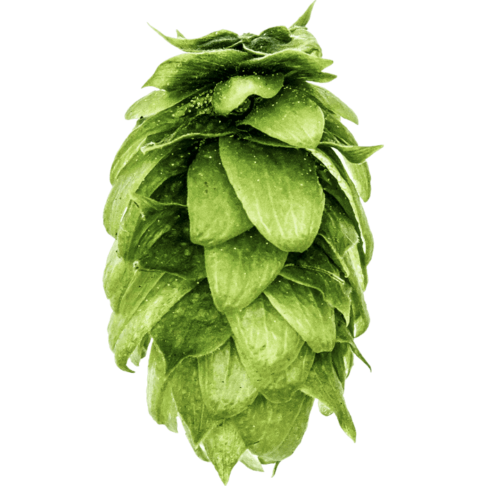 Sabro™ Hops - 100g - All Things Fermented | Home Brew Supplies Shop Wellington Kapiti NZ