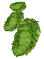 Simcoe Cryo Hops - 50g - All Things Fermented | Home Brew Supplies Shop Wellington Kapiti NZ