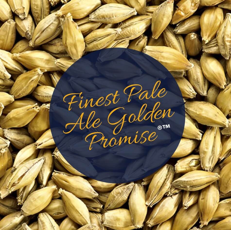Simpsons Finest Pale Ale Golden Promise