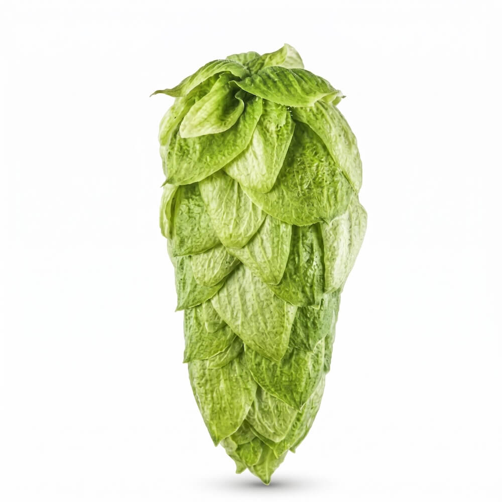 Superdelic Hops 2026 Harvest - T90 Pellets 100gm