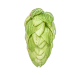 Taiheke Hops (NZ Cascade) 2024 Harvest - T90 Pellets 100gm - All Things Fermented | Home Brew Supplies Shop Wellington Kapiti NZ