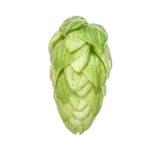 Taiheke Hops (NZ Cascade) 2024 Harvest - T90 Pellets 100gm - All Things Fermented | Home Brew Supplies Shop Wellington Kapiti NZ