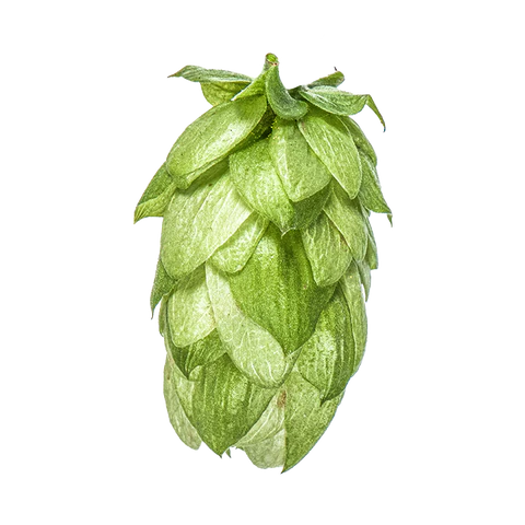 Wai-iti Hops 2024 Harvest - T90 Pellets 100gm