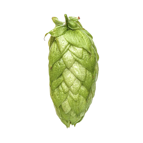 Waimea Hops 2025 Harvest - T90 Pellets 100gm