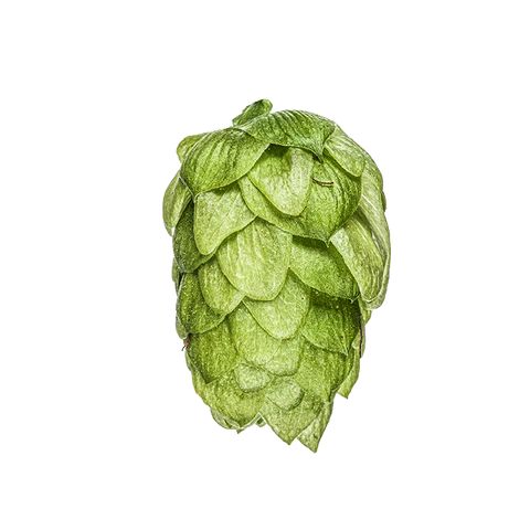 Wakatu Hops 2025 Harvest -  T90 Pellets 100gm