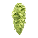 Warrior Hops - T90 Pellets 100g - All Things Fermented | Home Brew Supplies Shop Wellington Kapiti NZ