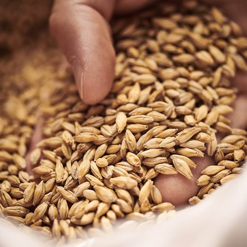 Weyermann Bohemian Pilsner Malt