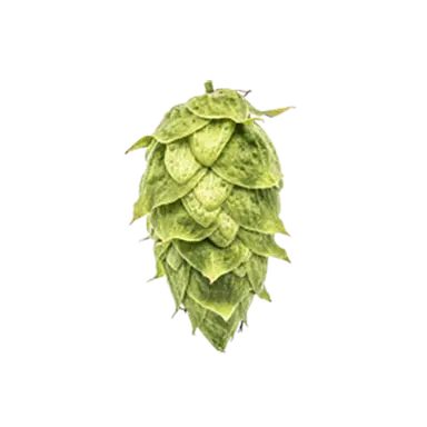 Ahtanum™ Hops - T90 Pellets 100g