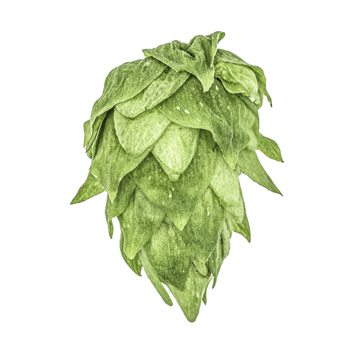 Krush Hops - T90 Pellets 100g