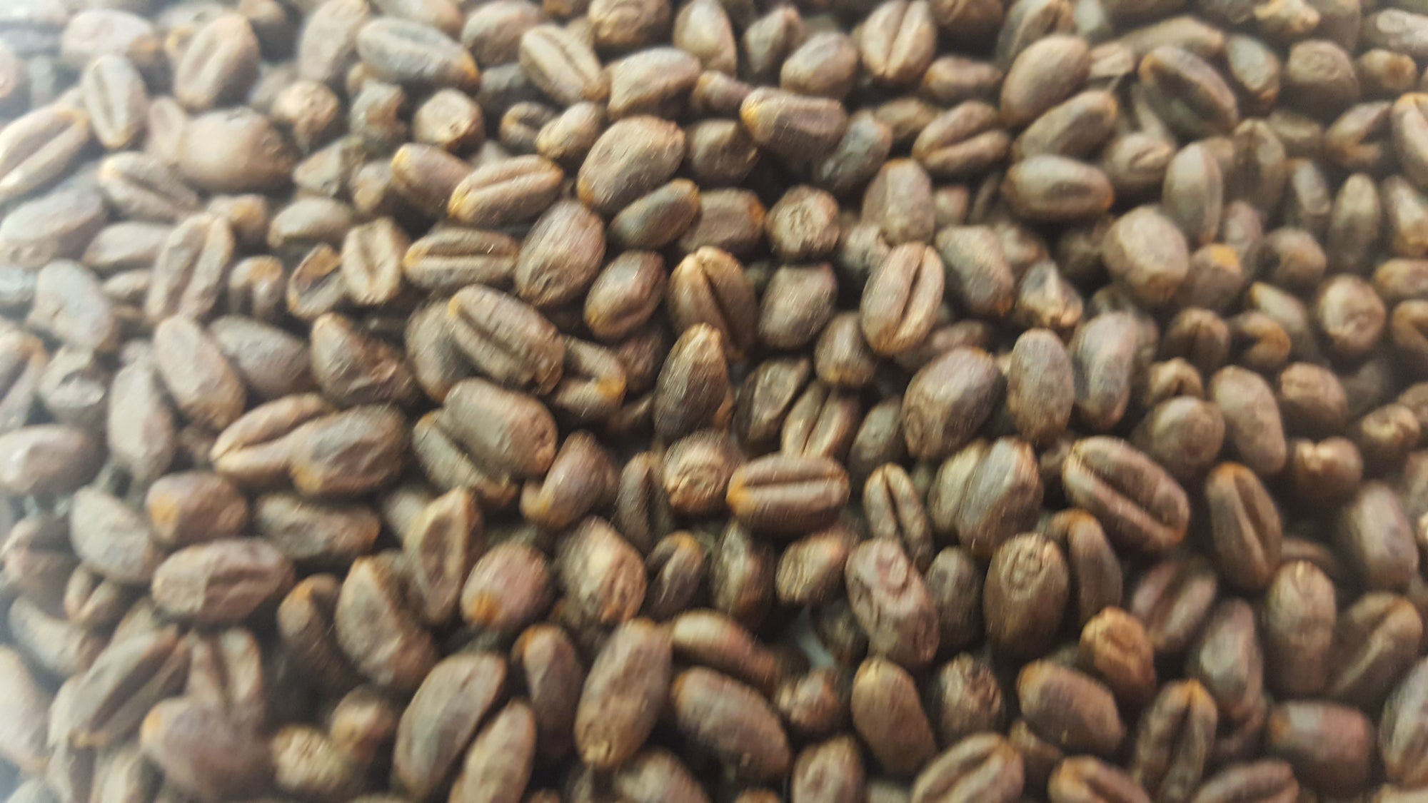 Gladfield Roasted Wheat - All Things Fermented | Home Brew Shop NZ | Supplies | Equipment