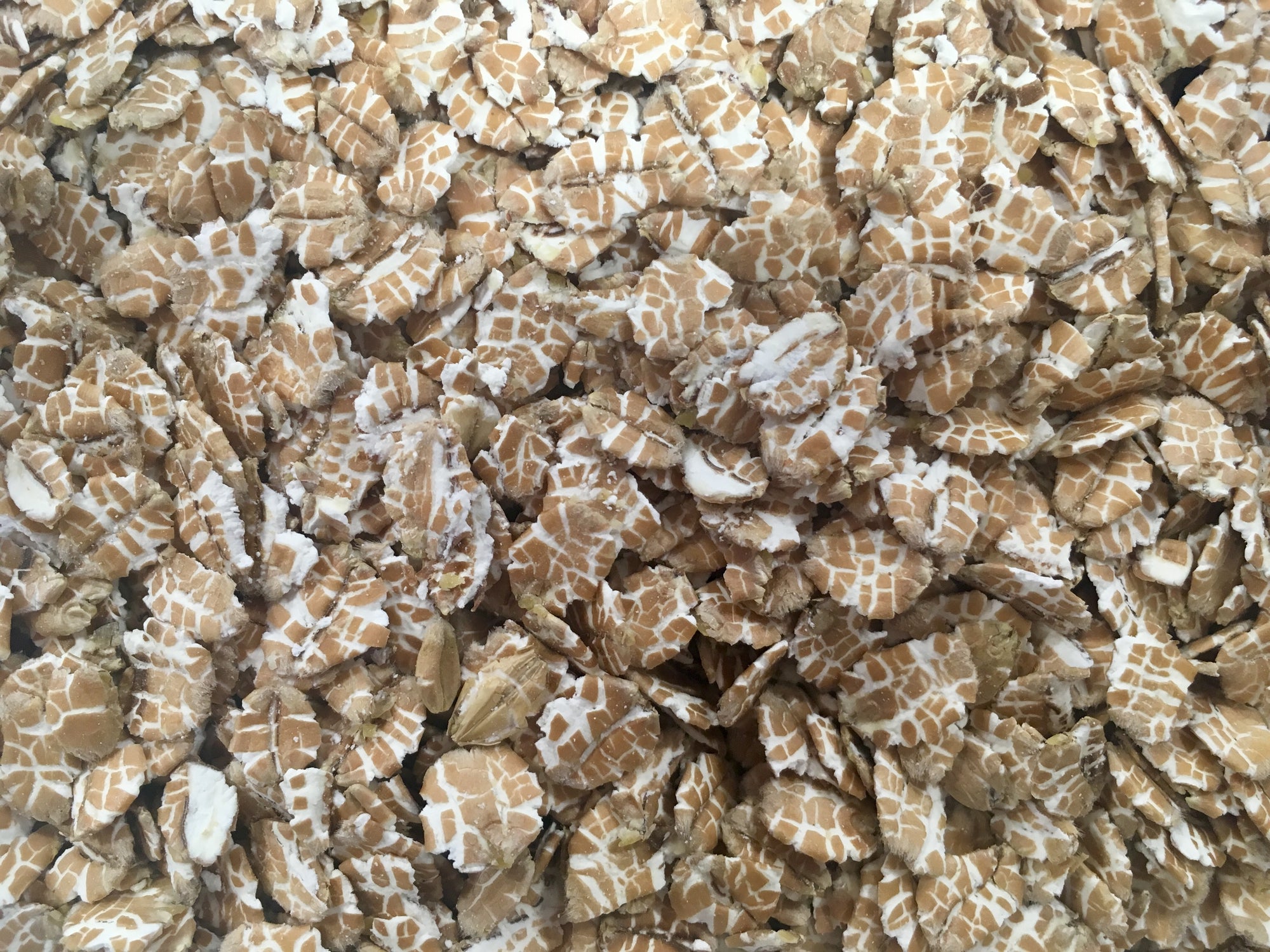 Harraways Flaked Wheat - All Things Fermented | Home Brew Shop NZ | Supplies | Equipment