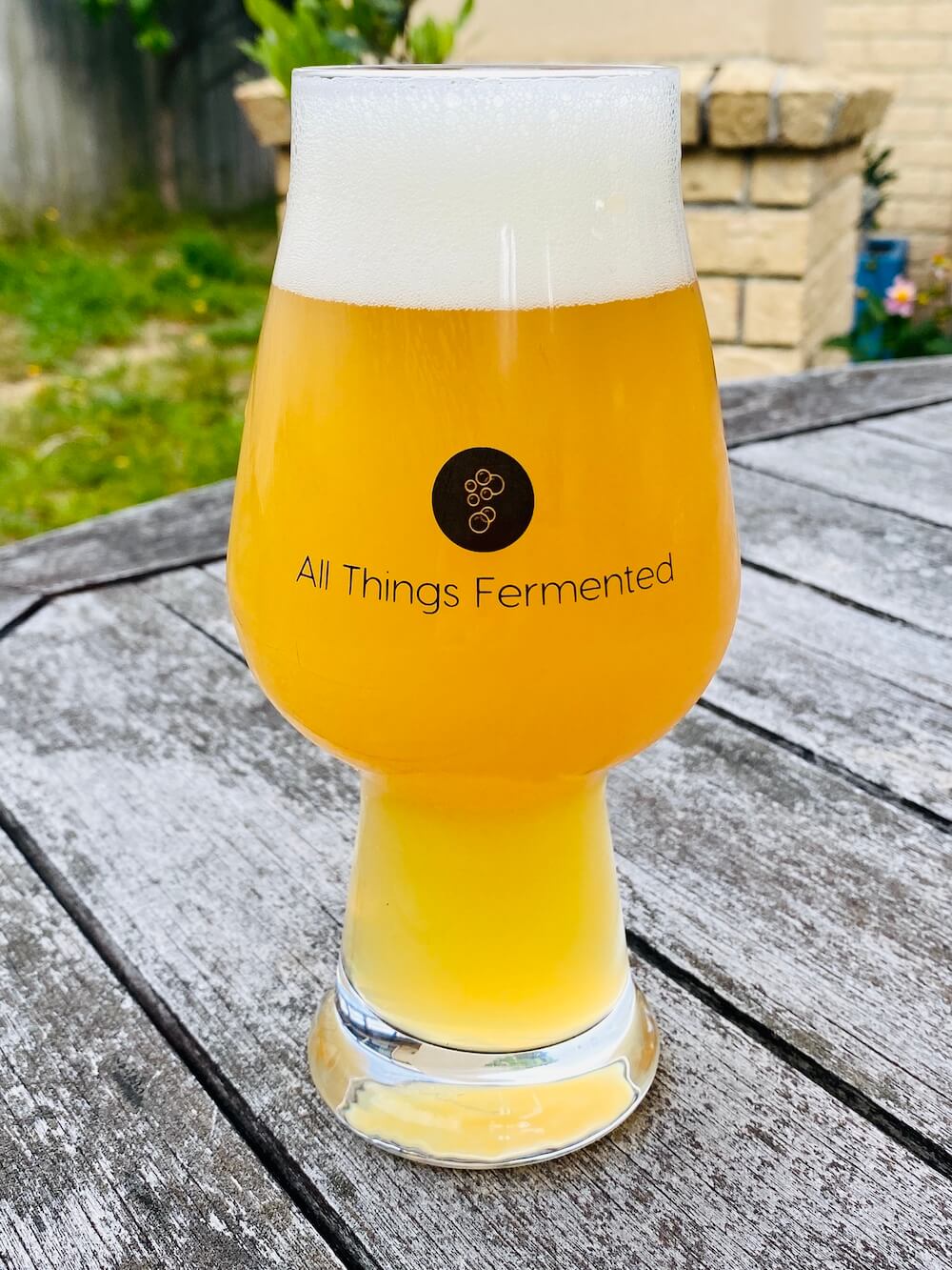 All Things Fermented IPA Glass - 540ml - Set of Two - All Things Fermented | Home Brew Shop NZ | Supplies | Equipment