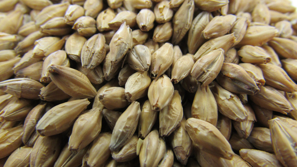 Gladfield Peat Smoked Malt - All Things Fermented | Home Brew Shop NZ | Supplies | Equipment