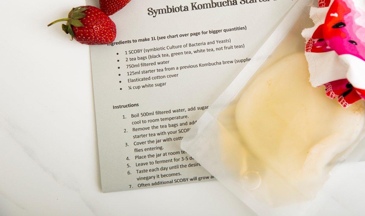 Symbiota Organic Kombucha SCOBY - Large - All Things Fermented | Home Brew Shop NZ | Supplies | Equipment