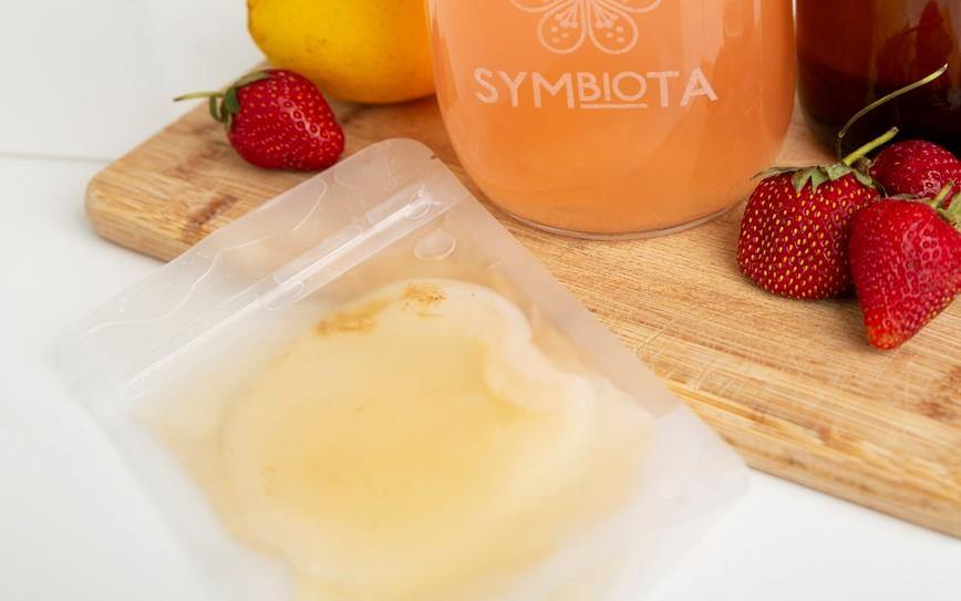 Symbiota Jun kombucha SCOBY (Organic) - All Things Fermented | Home Brew Shop NZ | Supplies | Equipment