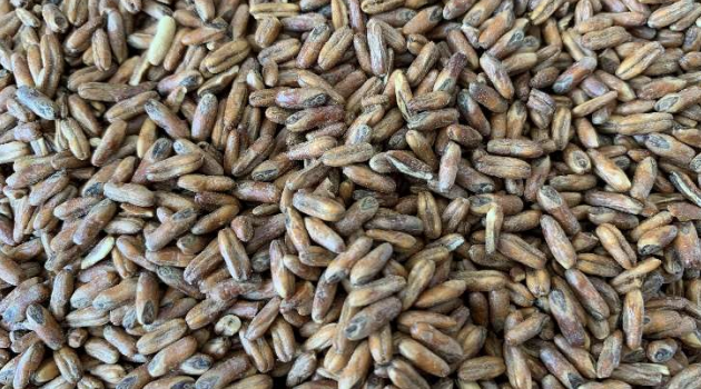 Gladfield Go Nutty - Roasted Oats - All Things Fermented | Home Brew Shop NZ | Supplies | Equipment